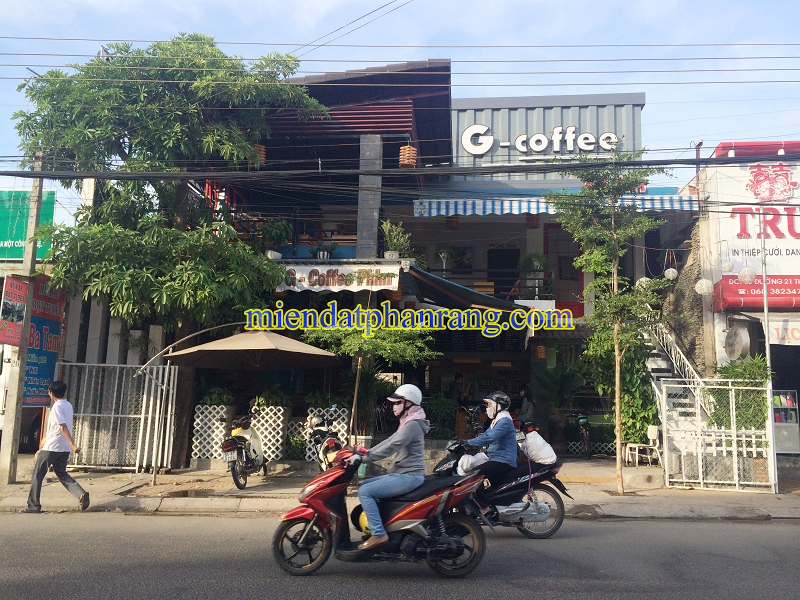 G-cafe Phim phan rang